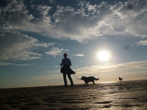 Strandspaziergänge mit Hund sind wunderschön