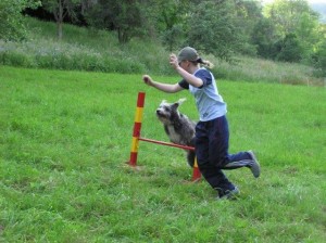 Agility macht Spaß