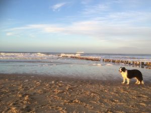 Auch im Winter gibt es schöne Tage am Strand