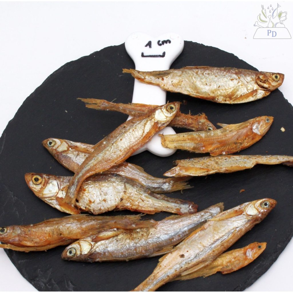 Fischzeit im Napf: Für ein glänzendes Fell und gesunde Hunde!