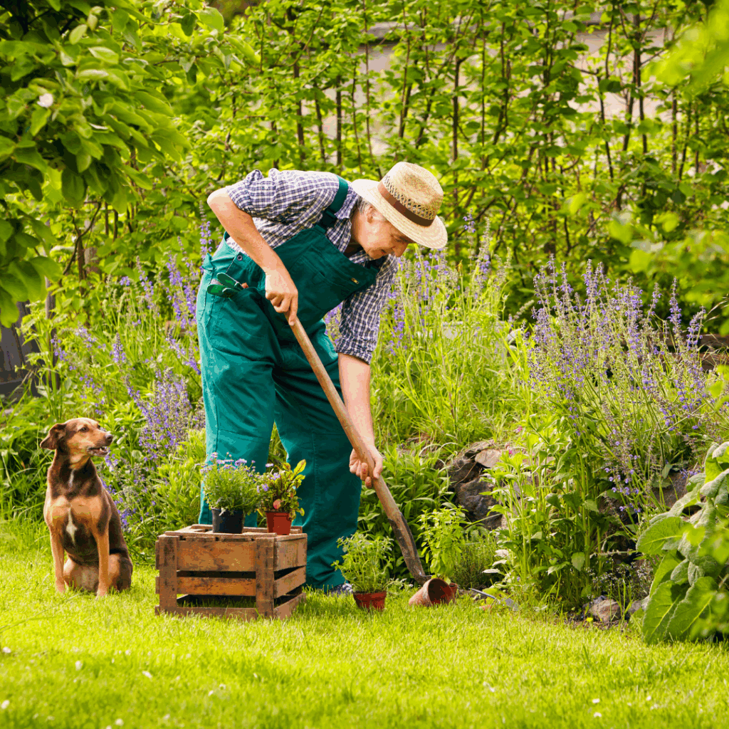 🌿 Giftige Pflanzen für Hunde – was muss raus aus dem Garten?