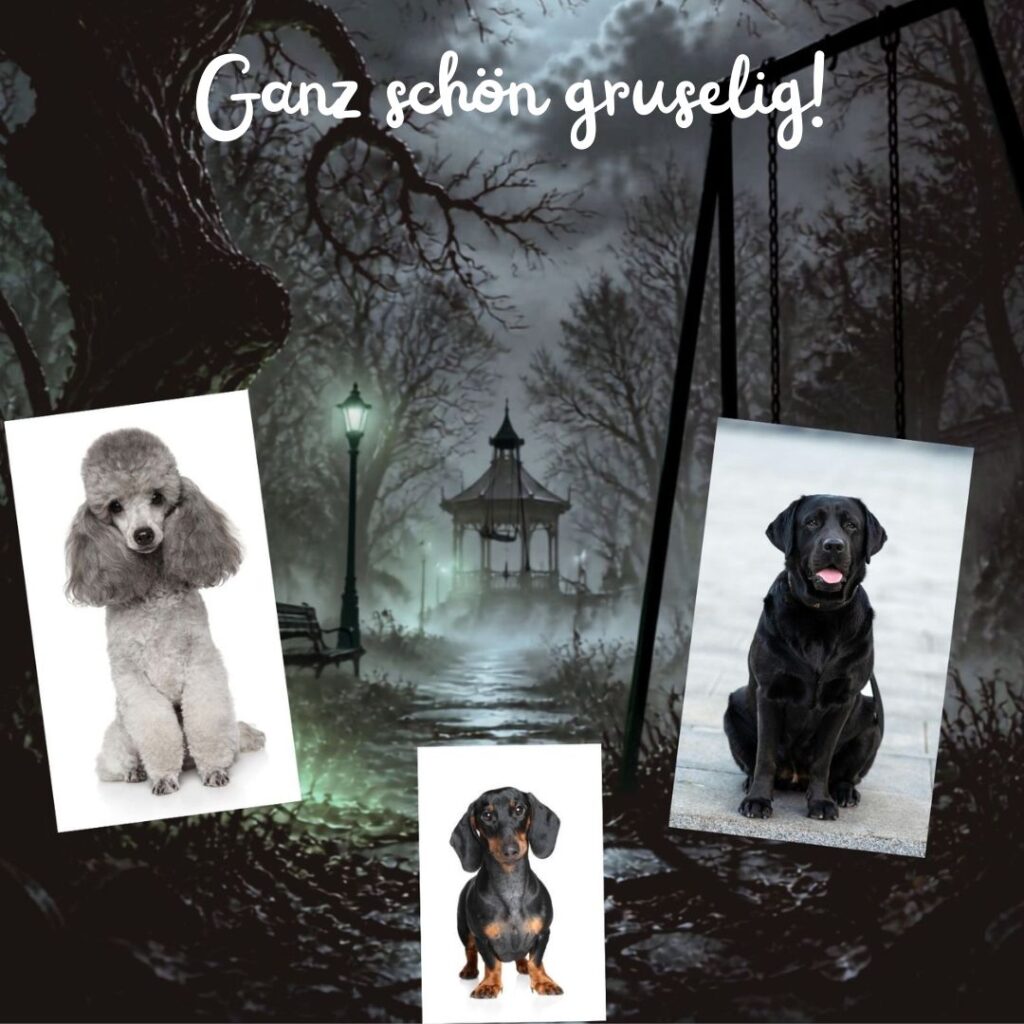Nachts ist es so dunkel!
